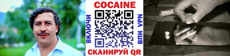 COCAIN Fish Scale  Купить где  Партизанск 