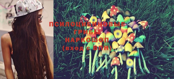 трава Щучье