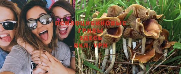 трава Щучье