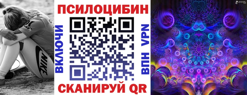 Купить закладки  Партизанск  Псилоцибиновые грибы мухоморы 